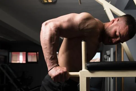 Parallel Bars Exercise For Triceps And Chest 写真素材
