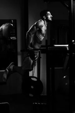 Parallel Bars Exercise For Triceps And Chest Stock Photos