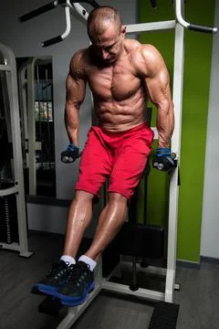 Parallel Bars Exercise For Triceps And Chest Stock-Fotos