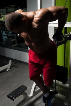 Parallel Bars Exercise For Triceps And Chest Stock-Fotos
