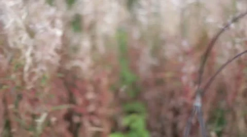 Parallel close up of bicycle steering wheel Stock Footage 22225228