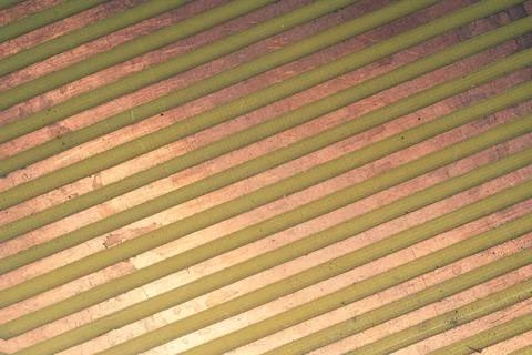 Parallel copper tracks on circuit board close up. industrial background Stock Photos