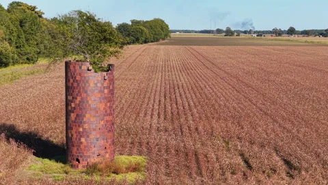 Parallel Cotton Rows Stretching Across Delta Farmland Stock-Footage 328990065