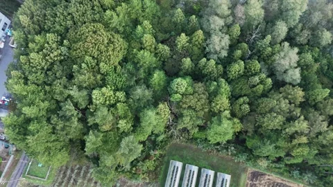 Parallel Crop Row Covers and Agricultural Plots From Above 動画素材 347492830