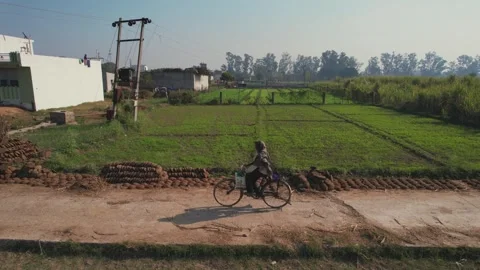 Parallel drone tracking elderly man cycling through farmland 動画素材 334591333