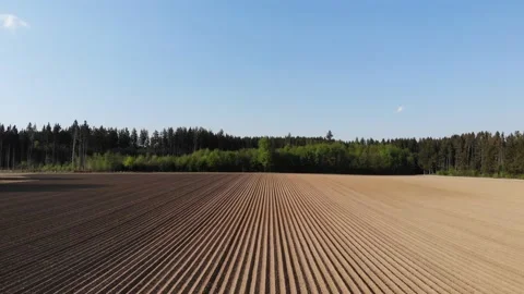 Parallel flight along new seeded potato field rows Stock Footage 151626396