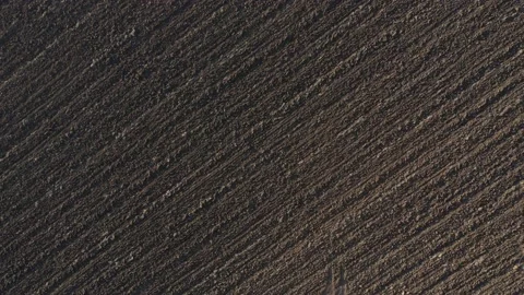 Parallel furrows from above 4K drone video Stock-Footage 145288562