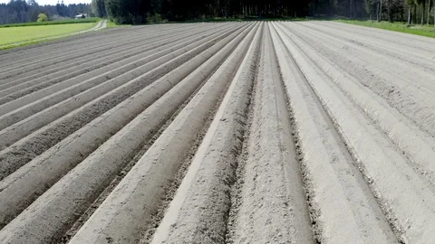 Parallel furrows in a plowed field, aerial wide slide Stock Footage 107813749