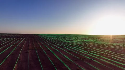 Parallel green fencing reduces soil erosion in land reclaimed from mine Stock-Footage 304048372