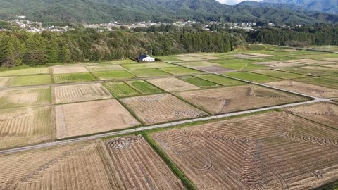 Parallel Harvest Patterns Across Rectangular Farmland Stock Footage 347929446