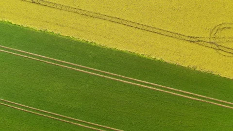 Parallel lines in agriculture fields, aerial top down view Stock Footage 221679503