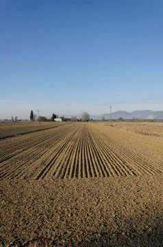The parallel lines of campaign Foto stock