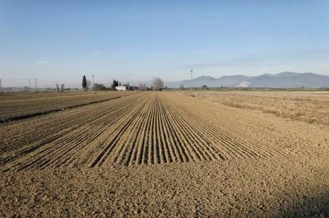 The parallel lines of countryside Stock Photos