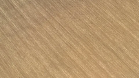 Parallel lines in earth made by tractor plough 4K aerial footage Stock Footage 110624629