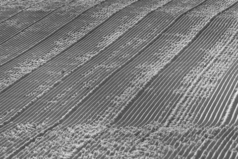 Parallel lines in snow Foto stock