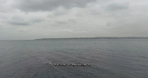 Parallel motion over the surface of the water far from the city Stock-Footage 101253404