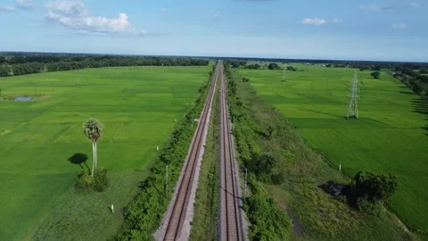Parallel Railway Tracks Stretching Through Vast Green Paddy Fields. Stock Footage 331093991
