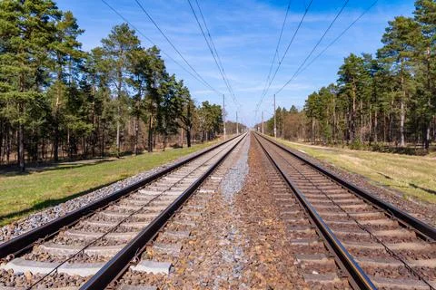 Parallel Railway Tracks Through Forest Landscape Stock Photos