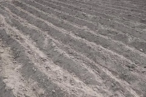 Parallel rows of soft soil for future planting of vegetables Stock Photos