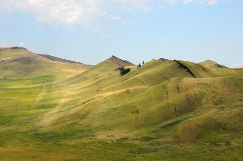 Parallel rows of stony formations running along the gentle slopes and tops .. Stock Photos