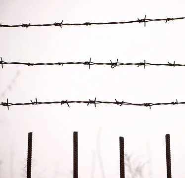 Parallel Rusted Barbed Wire Fence Detail Stock Photos