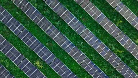Parallel Solar Modules Over Dense Green Cover Stock Footage 344856993