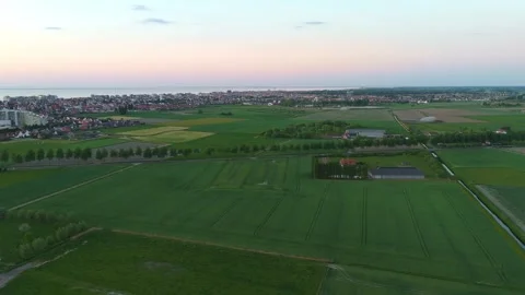Parallel Sunset Flight Along Road with Tree Line and Fields | FlyLens 4K Stockbeeldmateriaal 309049978
