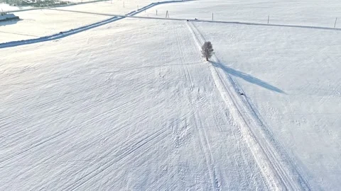 Parallel Tracks and Lone Tree Casting Long Winter Shadow Stock Footage 327615984