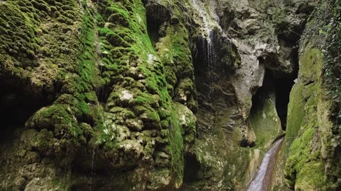 Parallel Waterfalls Emerge From Moss Laden Rock Walls Stock-Footage 310229402