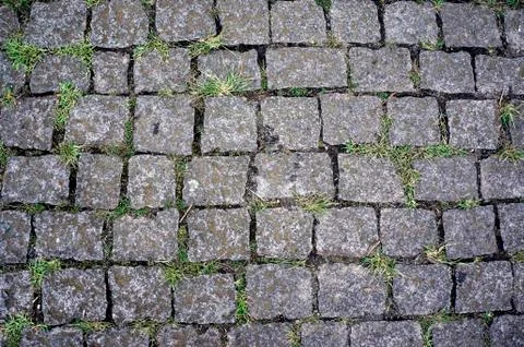 Parallelepiped floor pattern texture gray pavement grass Foto stock
