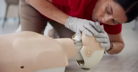 Paramedic, hands or breathing with dummy for CPR, first aid training or class at Stock Footage 297170229