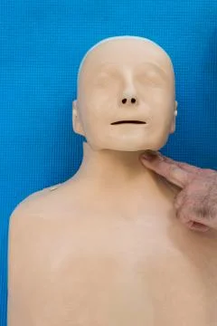 Paramedic practicing resuscitation on dummy Foto stock