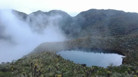 Paramo and lake landscape with moving mist cloudy weather.  frailejon Ecosystem Stock-Footage 259765121