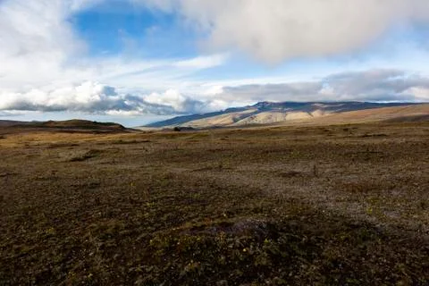 Paramo at Cotopaxi Stock Photos