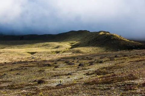 Paramo at Cotopaxi Stock Photos