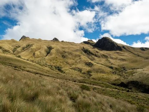 Paramo landscape in Ecuador Stock Photos