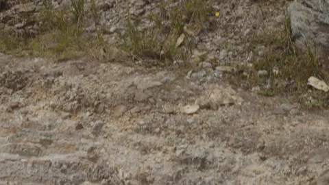 Páramo landscape rocks Video stock 312124202