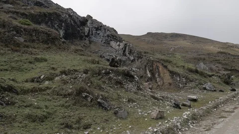 Paramo mountains glide shot on cloudy day Vídeo Stock 123448302