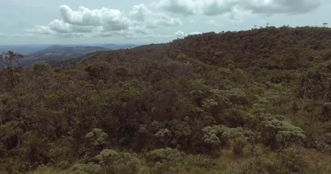 Paramo with Trees and Plants Around with Mountain Views Vídeo Stock 140946640