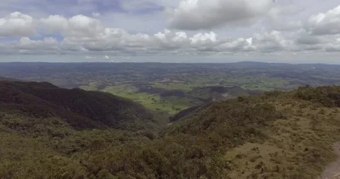 Paramo with Trees and Plants Vídeo Stock 140824504