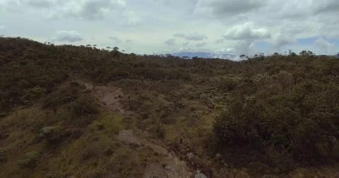 Paramo with Trees and Plants Vídeo Stock 140825710