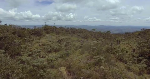 Paramo with Trees and Plants Vídeo Stock 140825755