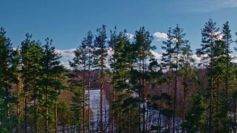 Paramonov Aleksandr Stock Footage 109201606