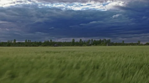 Paramonov Aleksandr Stock Footage 109863060