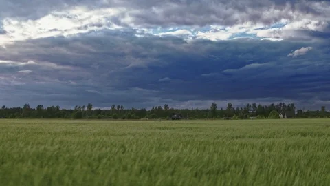 Paramonov Aleksandr Stock Footage 109864542