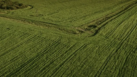 Paramonov Aleksandr Stock Footage 109867709