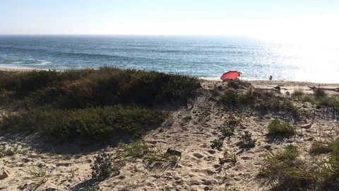 Paramos's beach in Espinho Vídeo Stock 77702310