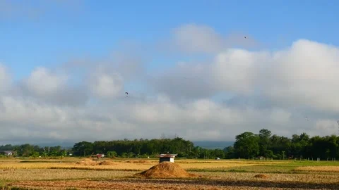 Paramotor gliding and flying in the air Stock Footage 221737801