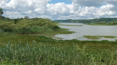 Parana river flowing between Argentina and Paraguay. Stock Footage 87723372