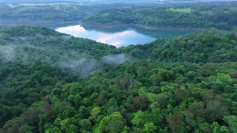 Paraná River Winding Through Rainforest in Misiones Argentina, Aerial Stock Footage 335967838